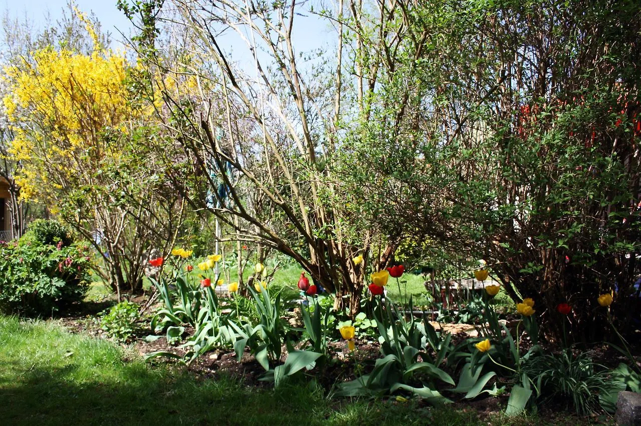 מינכן Daglfing Bed & Breakfast 0*,  גרמניה